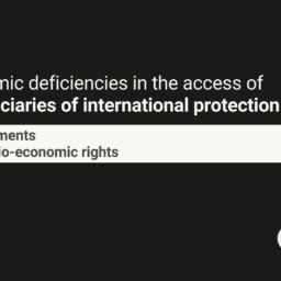 Systemic deficiencies in the access of beneficiaries of international protection to documents and socio-economic rights