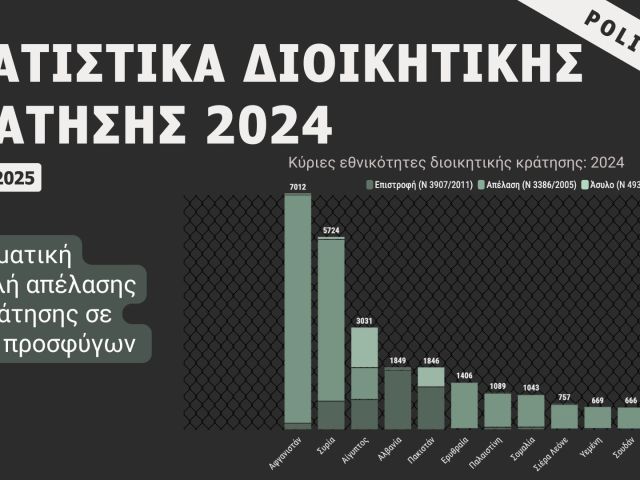 Στατιστικά διοικητικής κράτησης 2024