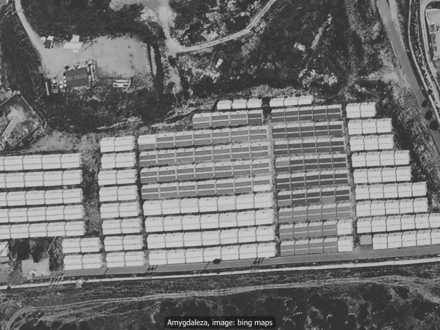 202603_detention_stats